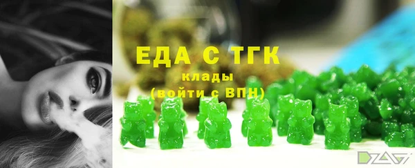 СК Елизово