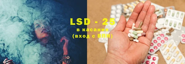 шишки Заводоуковск