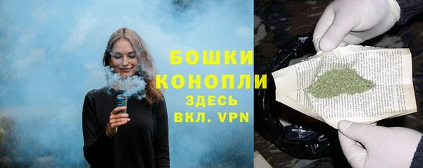 бошки Елабуга
