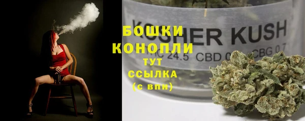 СК Елизово