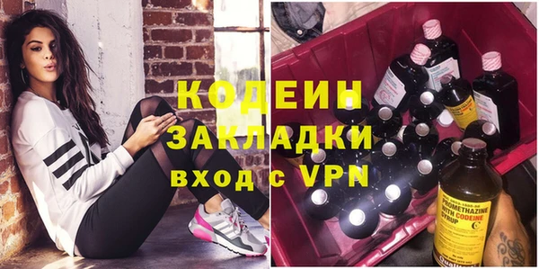 СК Елизово