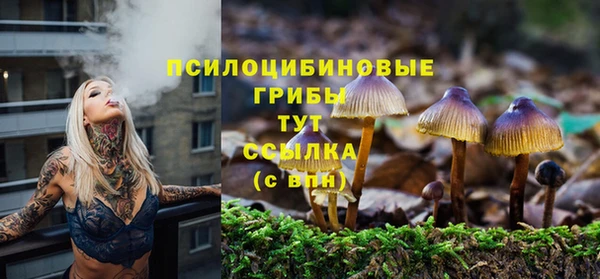 бошки Елабуга