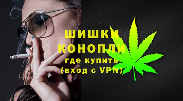 СК Елизово