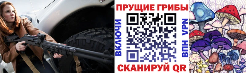Галлюциногенные грибы Psilocybe  Тетюши 